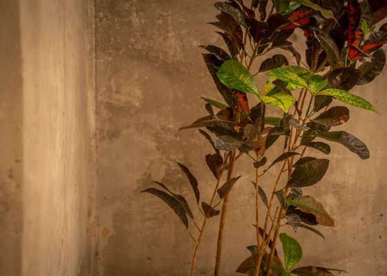 Del Bono Central Hotel 5 stars