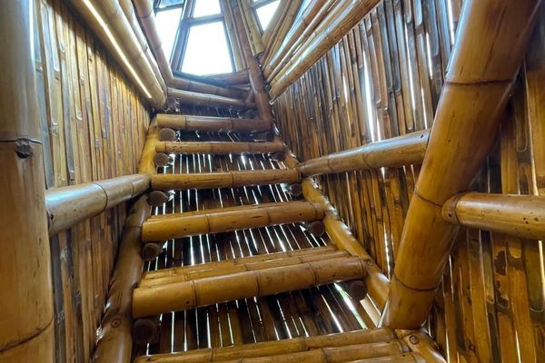 Cabaña Tangara Real