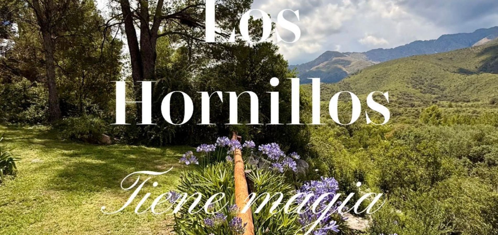 Hosteria Alta Montaña