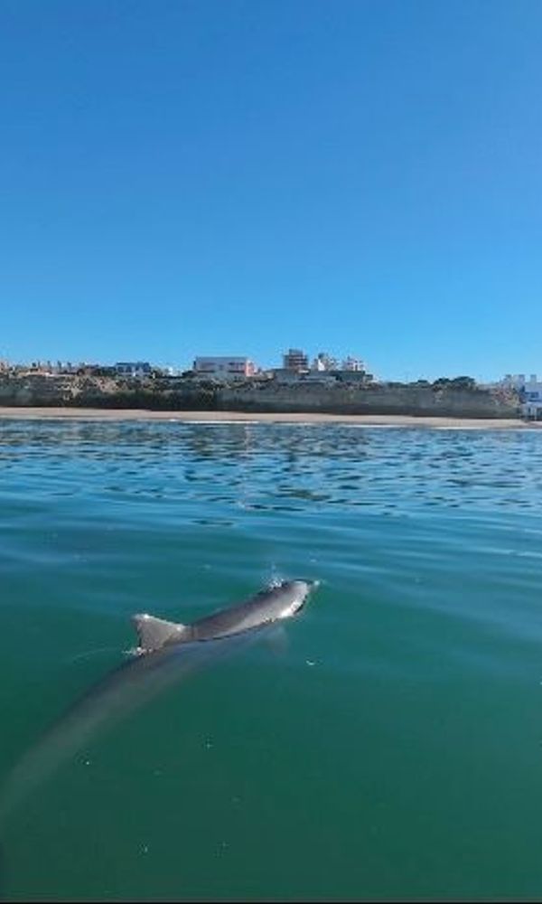 HOTEL & CASINO DEL RÍO LAS GRUTAS