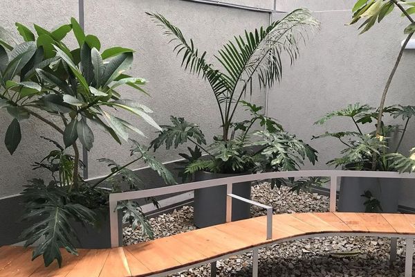 Charlie Suites en el centro histórico de Salta