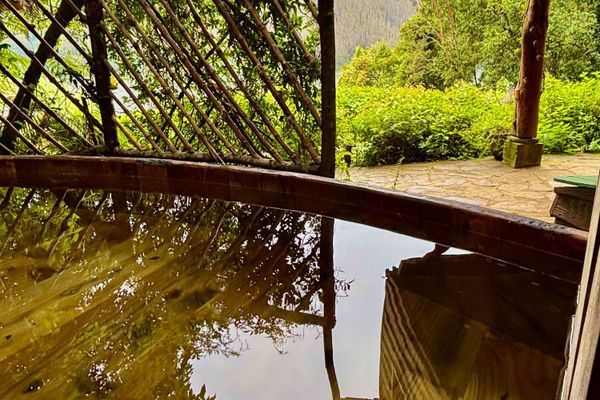 Departamento Colibri