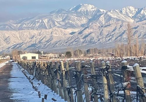 Viamonte Winery te acerca las mejores promociones para vos