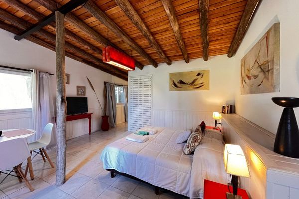 APART AL CAMPO PURA SANGRE