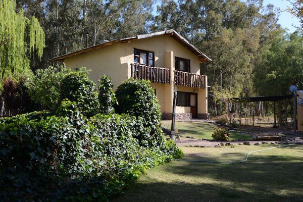 Eucaliptos - hasta 6 pax 