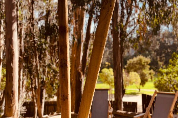 Glamping familiar standar