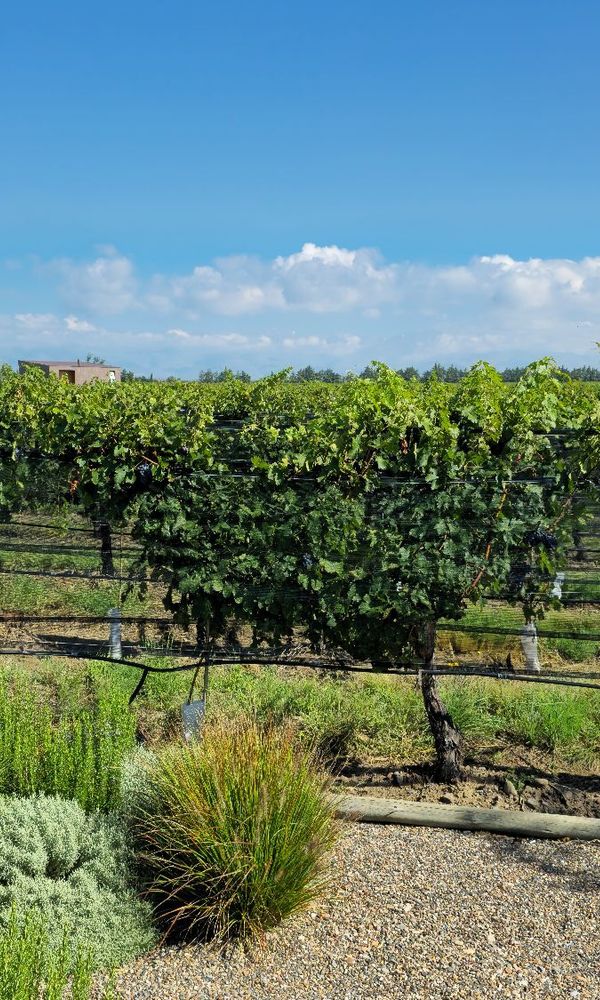 Andeluna Winery Lodge