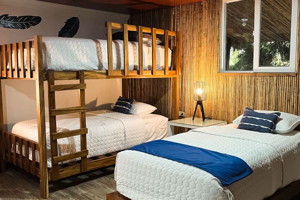 Suite Tortuga 2 habitaciones