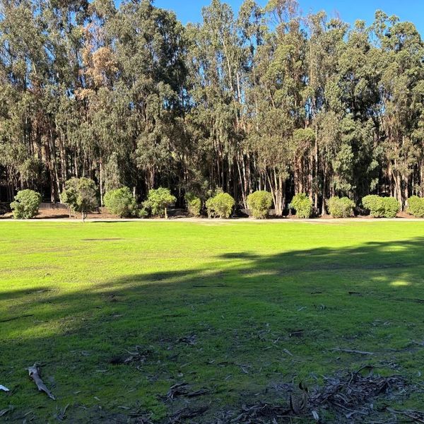 Parque Laguna de Zapallar