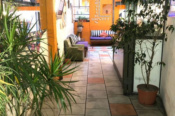 Cama en habitación compartida mixta de 6 camas 102