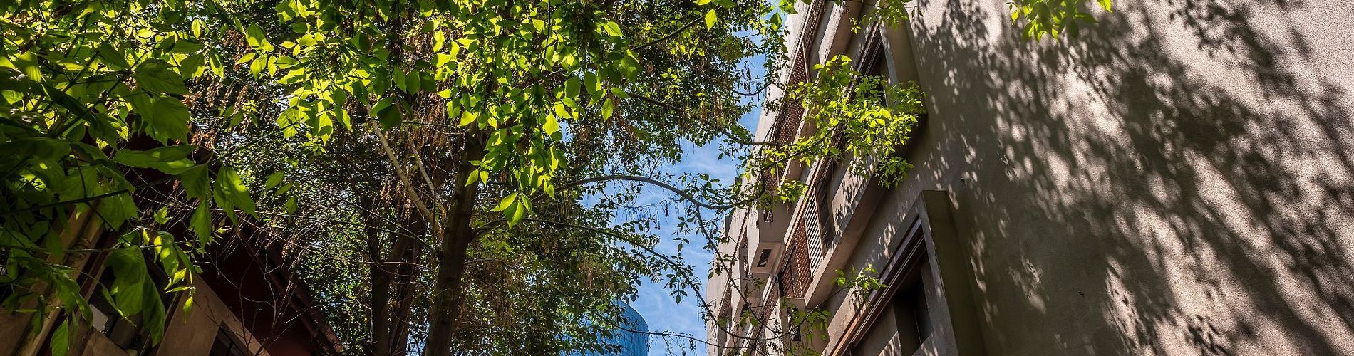 Hotel Los Españoles Plus