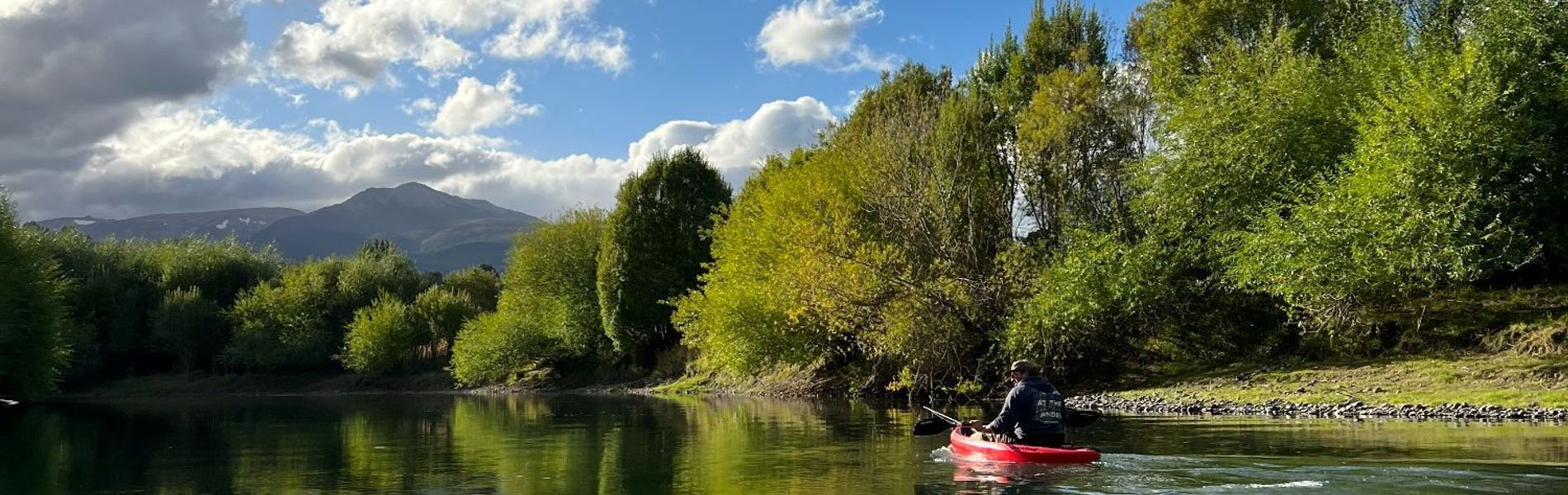 Cabañas Entre Sauces