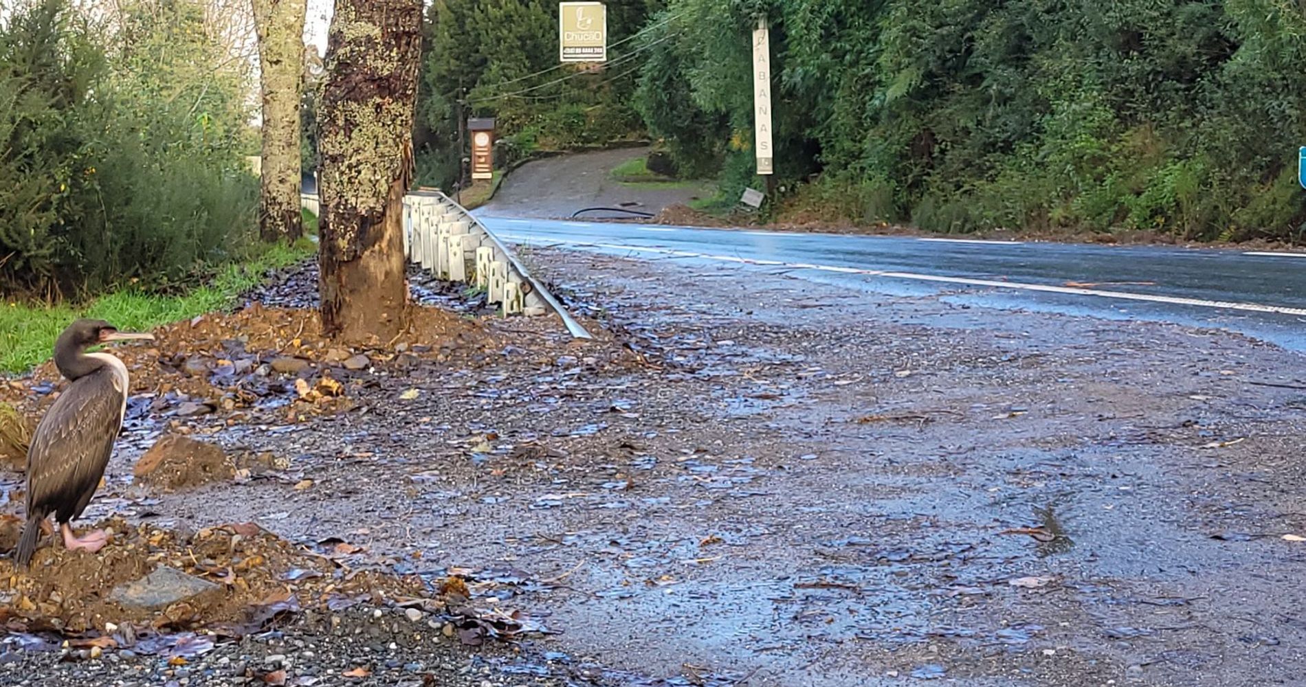 Complejo Turístico La Rueda del Chucao