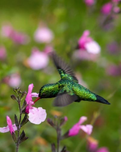 ESCAPADA DE PRIMAVERA