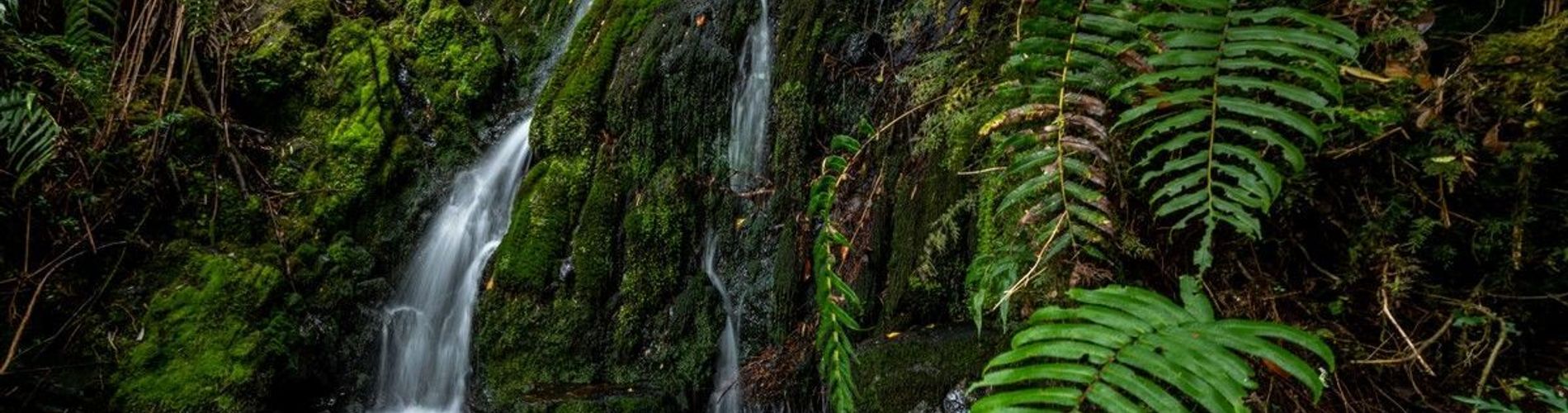 Cascadas naturales