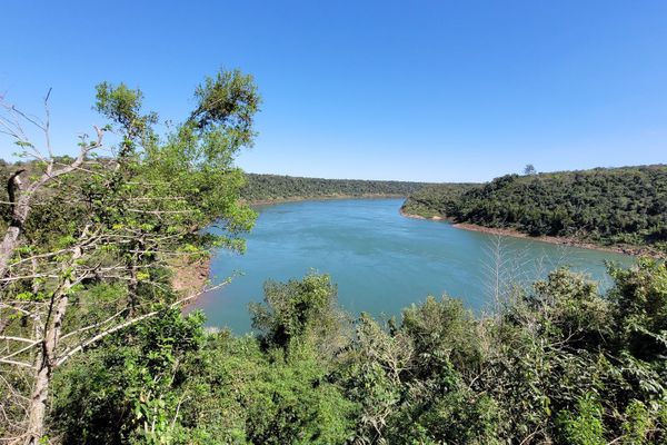 Glamping Selva Iguazú
