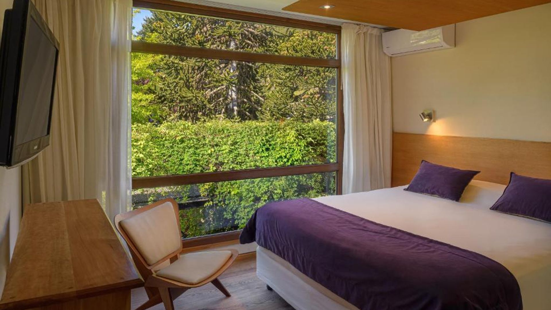 Amonite Apart & Spa