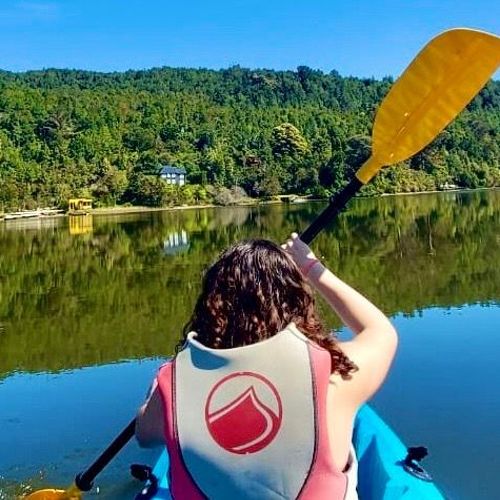 Complejo Turístico La Rueda del Chucao