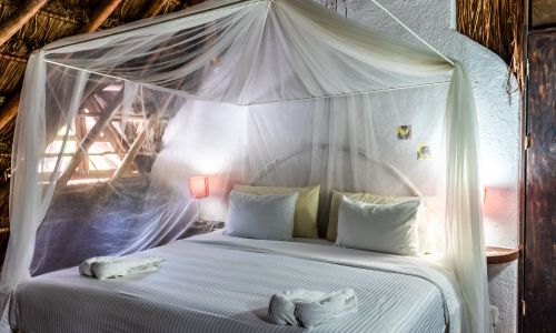 King económico, Hotel Casaejido, Playa del Carmen, México