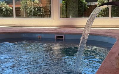 Elcantardelospajaros - Piscina climatizada 