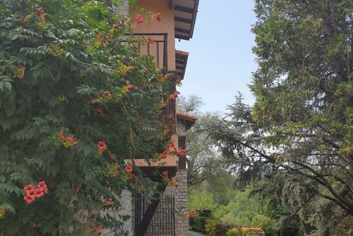 Las Terrazas Resort & Apart Cabañas