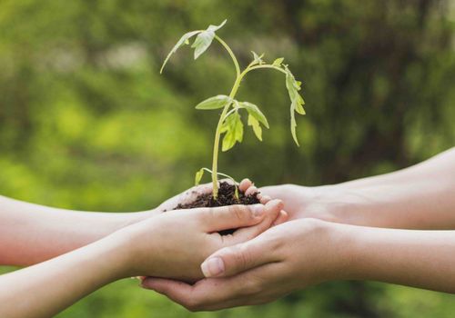 POLÍTICA DE GESTIÓN SUSTENTABLE 