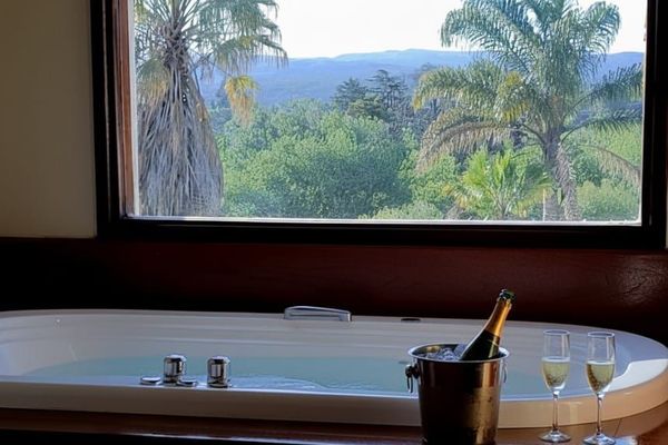 SUITE SUPERIOR CON HIDROMASAJE (con balcón terraza y vista del parque y las sierras)