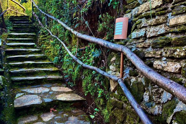 Deparatamento Cormorán