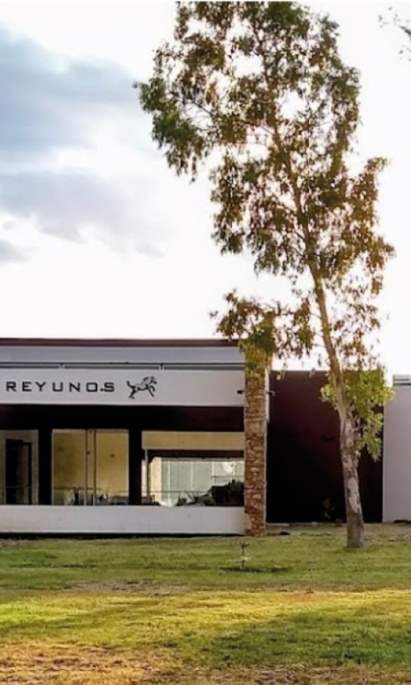 UTN Reyunos