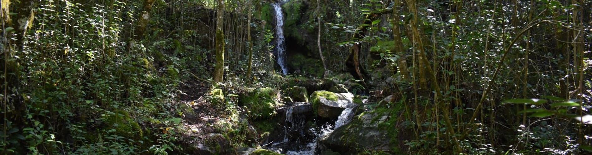 Mesón de Las Cañas