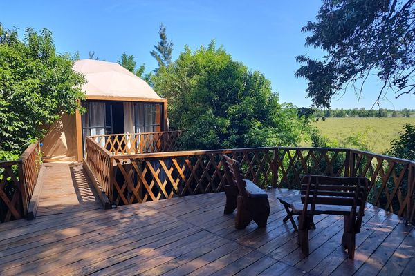 Domo Ilusión Silvestre