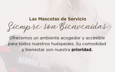 RaicesAconcagua - Mascotas de Servicio                  