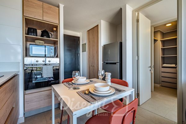 Departamento Santiago Centro, Metro y Cultura Disegni 15