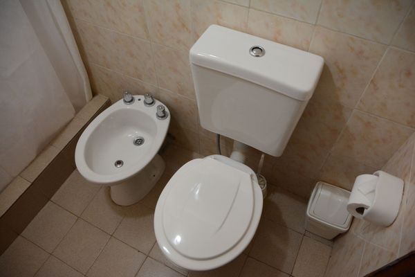 Eucaliptos - hasta 6 pax 