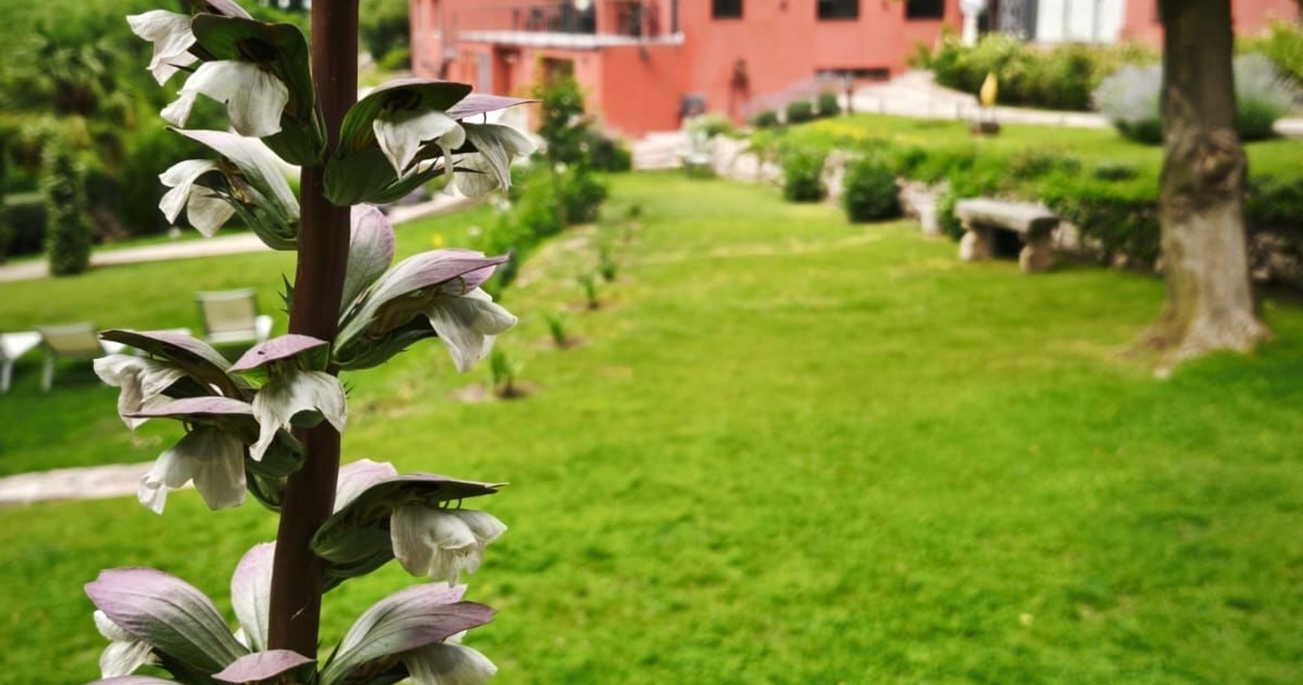 Redil del Paraíso • ᴘᴏꜱᴀᴅᴀ & ꜱᴘᴀ •