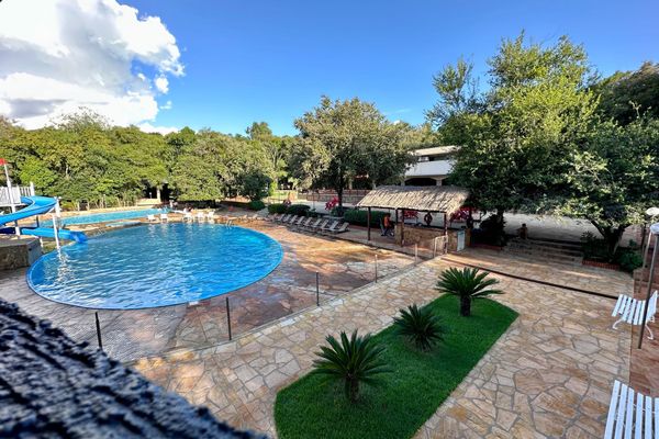 Habitación Confort con vista a la piscina