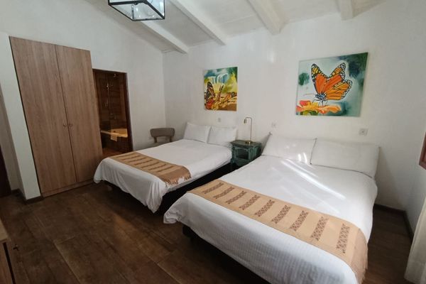 Habitación Suite Vista Selva