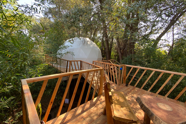 Domo La Flor de la Vida