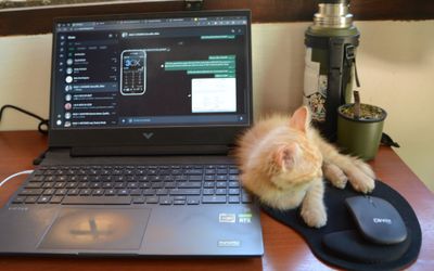 CaruLeufu421 - 
                                    Wi-Fi                                