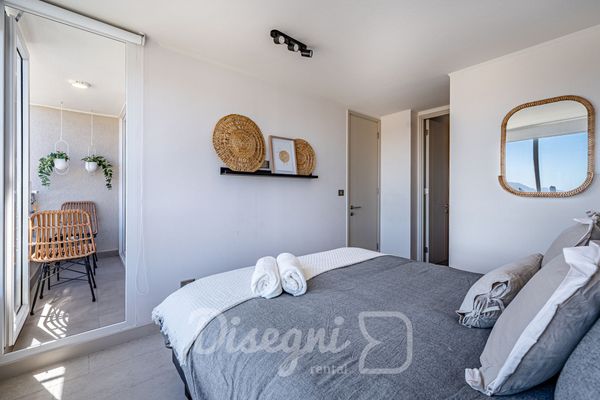 Departamento Santiago Centro, Metro y Cultura Disegni 15