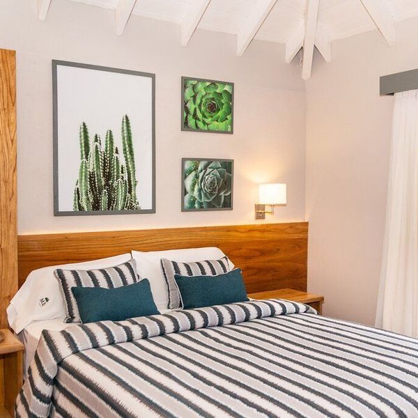 Miradores del Bosque Apart Spa