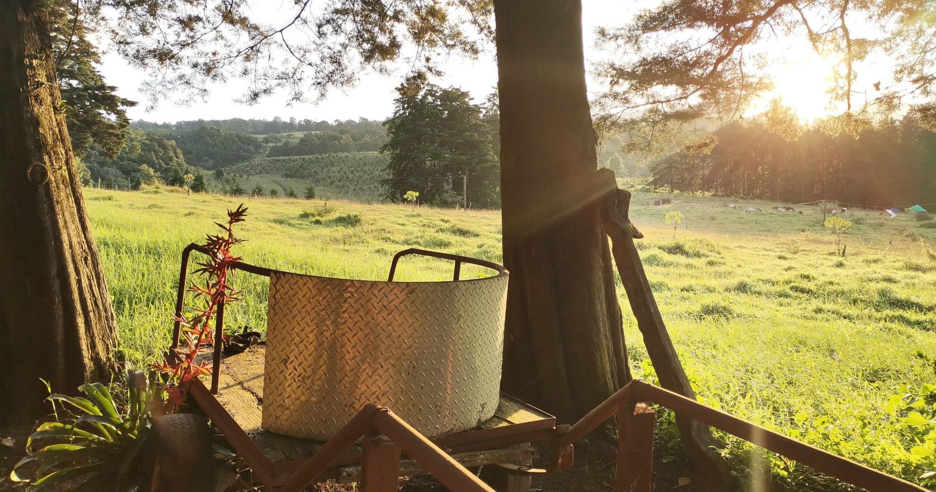 Luna Llena, Parque de Montaña