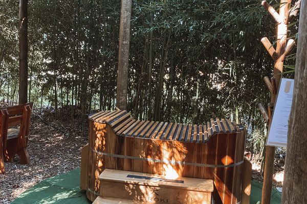 Domo La Flor de la Vida