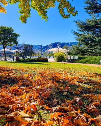 ¡TARIFAS PARA FERIADOS DE MAYO!