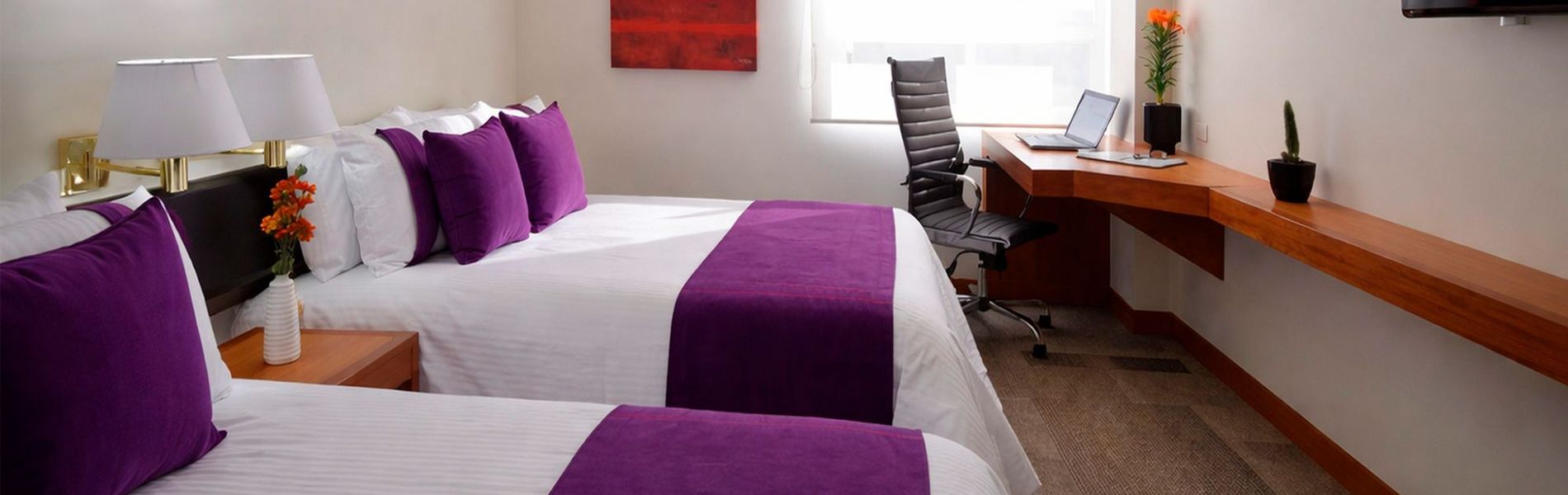 Hotel Lois Express Monterrey Aeropuerto La Fe