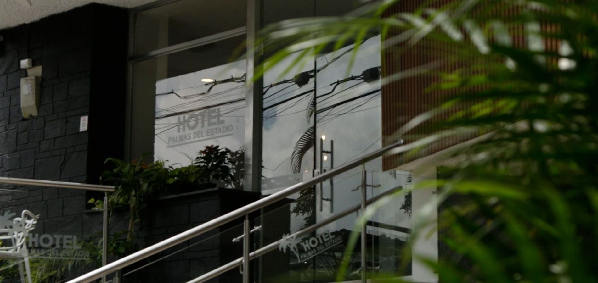 Hotel Palmas Del Estadio