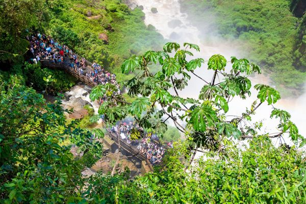 Glamping Selva Iguazú