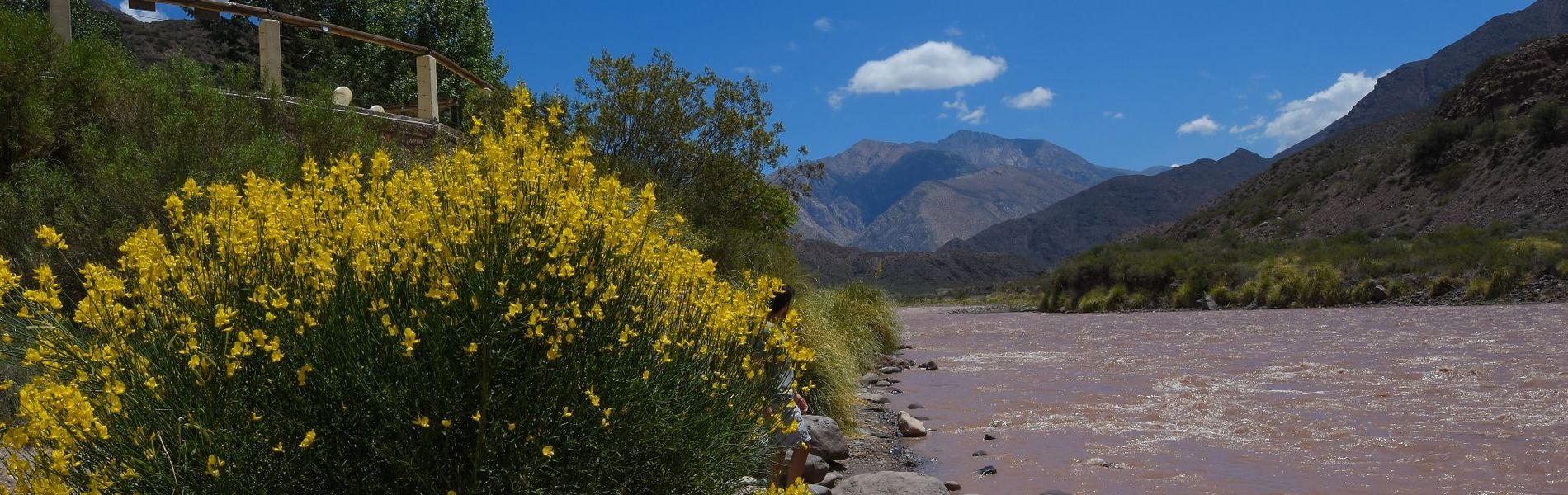 Mendoza Sol y Nieve :: Ciudad