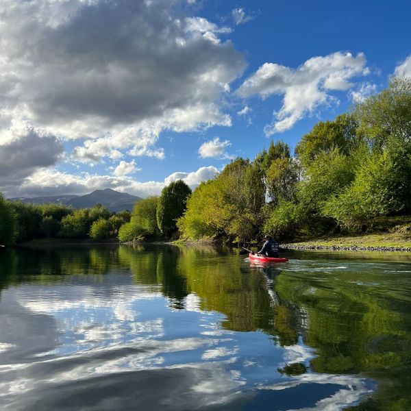 Cabañas Entre Sauces