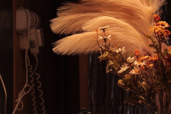 Habitación Doble Matrimonial/Twin